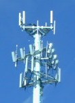 0ec6e970.jpg